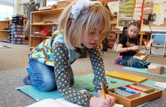 Montessori Eğitimi Nedir?