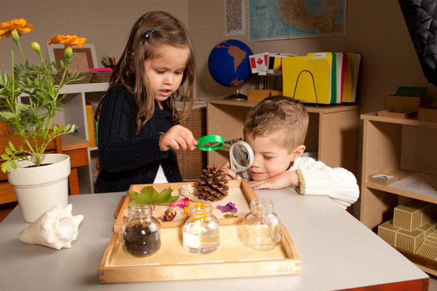 Montessori Etkinliklerinin Çocuğa Faydaları Neler?
